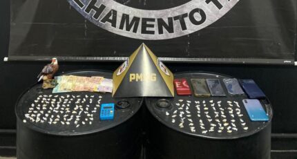 Polícia Militar apreende 181 pedras de crack em Itaúna