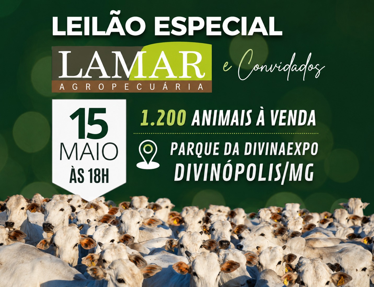 Leilão Lamar e Convidados movimenta o Parque de Exposições nesta sexta-feira
