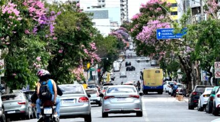Sincomércio alerta empresas para adequação à Convenção Coletiva até próximo dia (26)