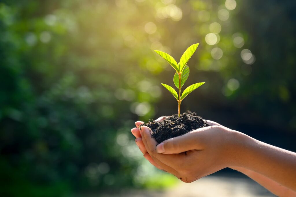 Junho Verde mobiliza Divinópolis e Pará de Minas com ações de conscientização ambiental dia-mundial-do-meio-ambiente