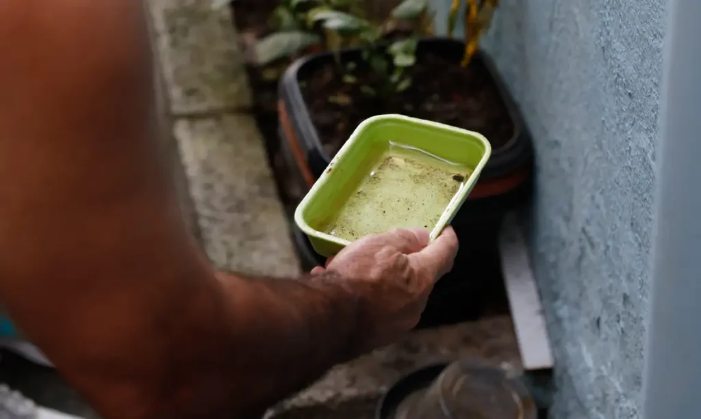 El Niño pode aumentar casos de chikungunya e dengue no Brasil 20230330101501_mg_7168