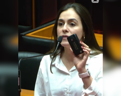 Condenado por ameaçar deputadas mineiras deixa prisão e Lohanna passa a usar botão do pânico