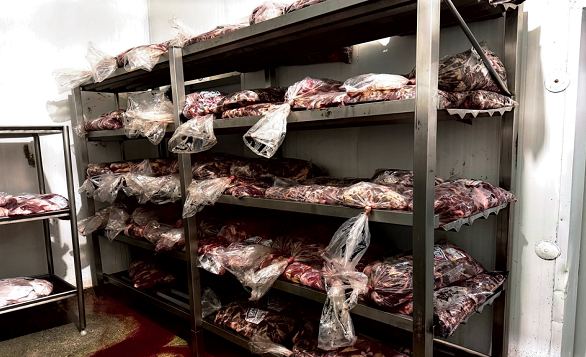 Procon multa empresa de Formiga por irregularidades em carnes armazenadas Fotos Bonoboi novo