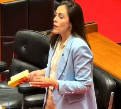 Lohanna cobra Cleitinho após senador dizer que recebeu oferta para desistir do Governo de Minas IMG-20260708-WA0050