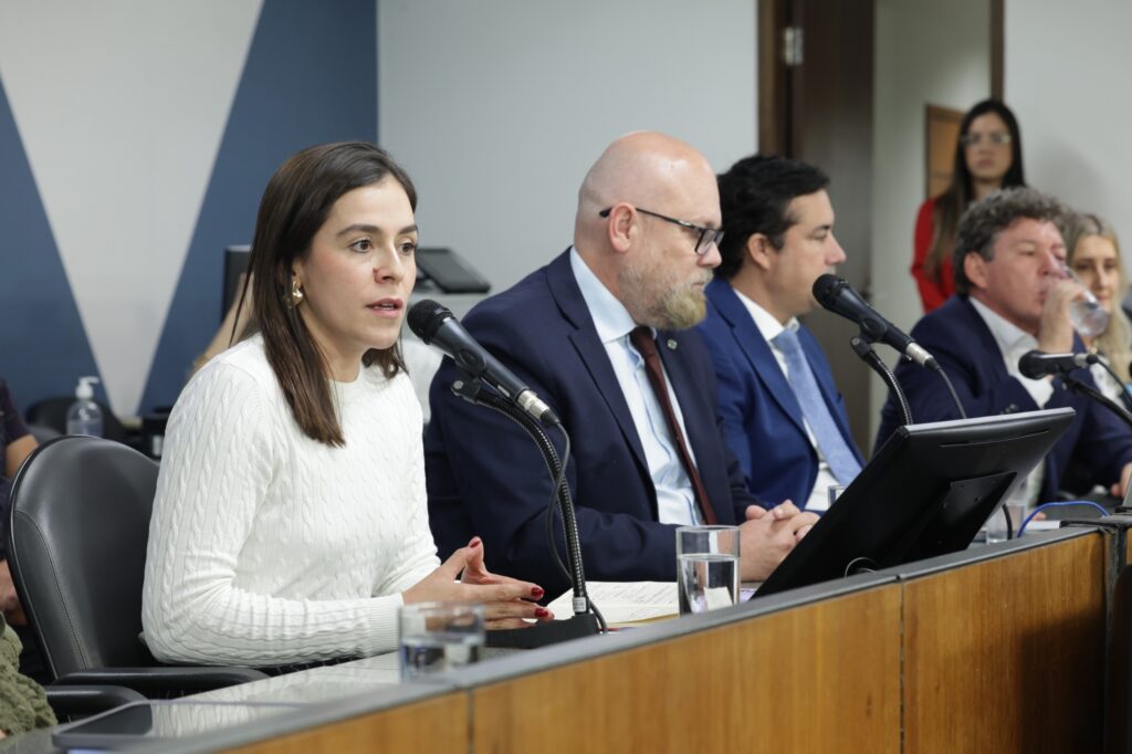 Deputada Lohanna cobra ação do Governo de Minas para evitar apagão no fomento à cultura após Reforma Tributária LOHAANA