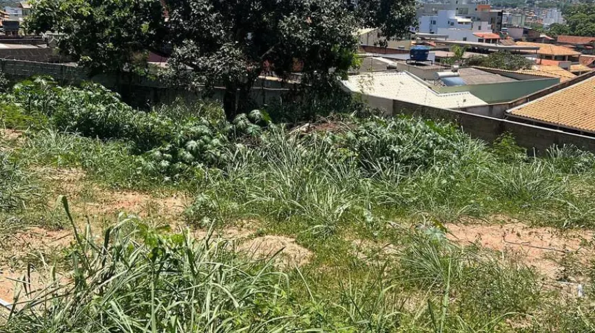 Decreto estabelece prazos e multas para imóveis irregulares e lotes sujos em Divinópolis lote-sujo