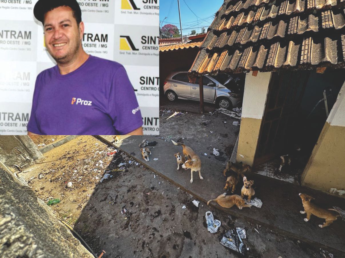 Divinópolis: Denúncia leva Divinews a imóvel com 13 cães, em meio a sujeira e fezes; presidente do SINTRAM nega maus-tratos