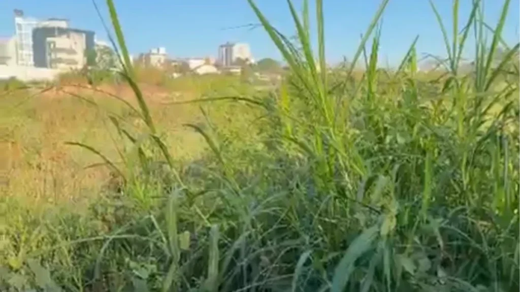 Divinópolis já aplicou mais de 200 multas por lotes irregulares site-21-1200x675
