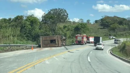 Carreta com gado tomba na BR-494 e mobiliza o Corpo de Bombeiros em Nova Serrana