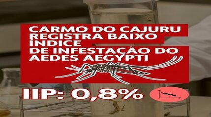 Carmo do Cajuru reduz infestação pelo Aedes aegypti e entra na faixa de baixo risco mas alerta continua