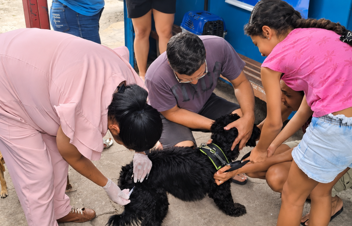 Quase 11 mil cães e gatos já foram vacinados contra a Vacinação antirrábica em Divinópolis