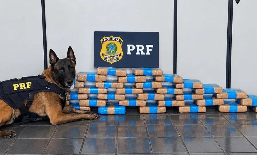 Polícia Rodoviária Federal apreende mais de 35 kg de maconha escondidos em fundo falso de carro na BR-262 em Betim
