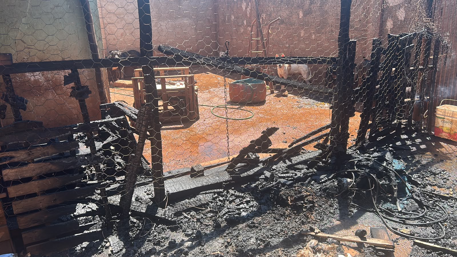Incêndio atinge imóvel usado como canil em Pará de Minas