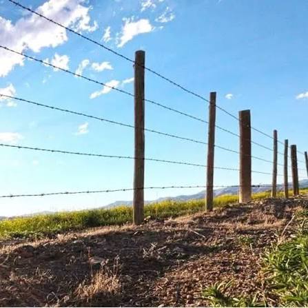 Homem é encontrado com cadarço no pescoço em mata de Formiga