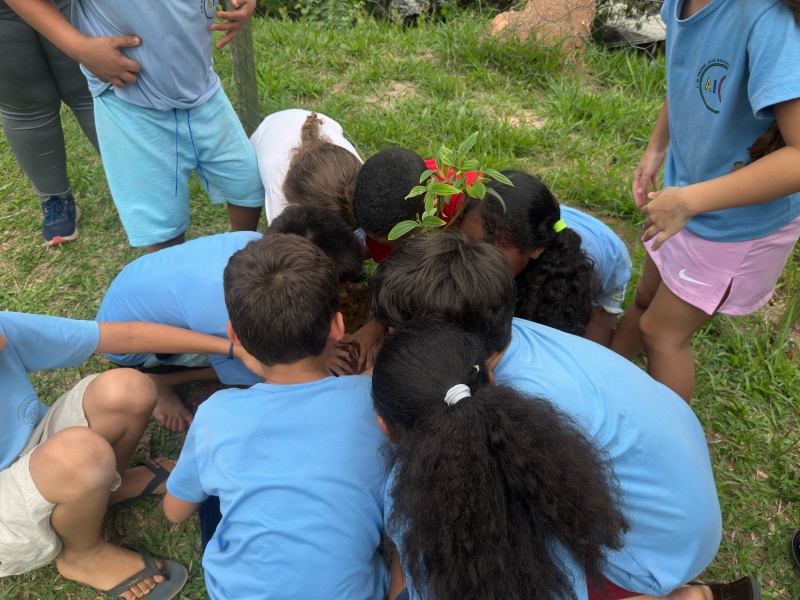 Dia da Árvore: escola de Divinópolis ganha plantio de mudas e aula de educação ambiental