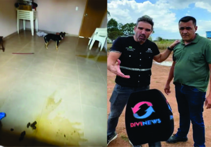 Terror em Ermida obriga família deixar cães e aves para trás; Divinews aciona vereadores que confirmam abandono