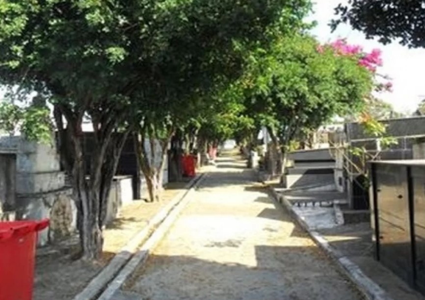 Finados em Divinópolis : veja os horários das missas e o funcionamento dos cemitérios