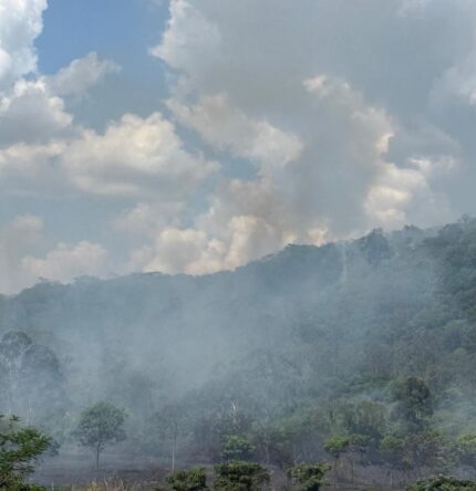 Incêndio de grandes proporções atinge vegetação no bairro Santanense em Itaúna