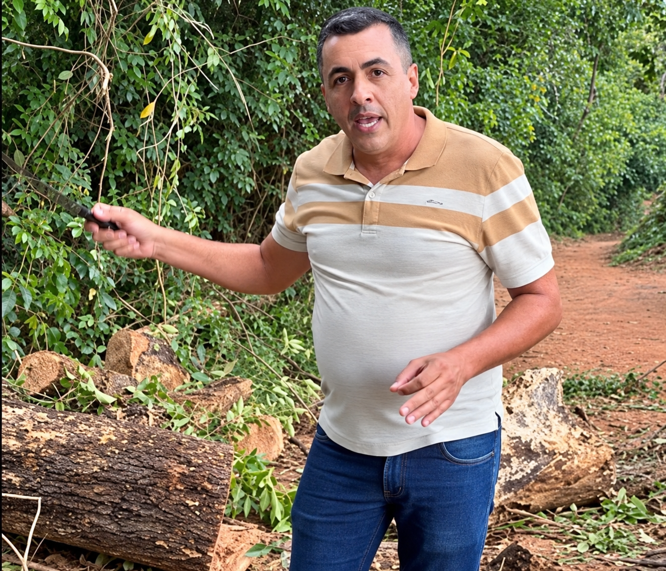 Árvore bloqueia estrada entre Ermida e Tamboril; vereador e secretário removem troncos